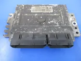 Engine control unit/module ECU