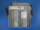 Engine control unit/module ECU