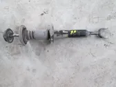 Front shock absorber with coil spring