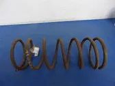 Front coil spring