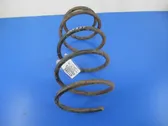 Front coil spring