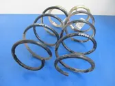 Front coil spring