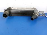 Intercooler radiator