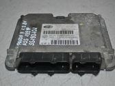 Engine control unit/module ECU