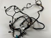 Other wiring loom