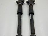 Rear shock absorber/damper