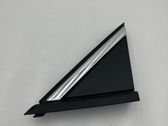 Front door trim (molding)