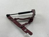 Tailgate/trunk/boot hinge