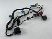 Other wiring loom