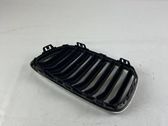 Front bumper upper radiator grill