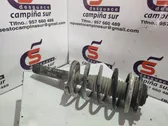 Front shock absorber with coil spring