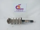 Front shock absorber with coil spring