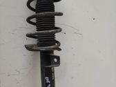 Amortiguador delantero con muelle espiral