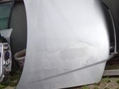 Konepelti
