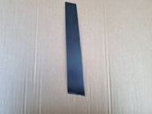 Front door glass trim molding