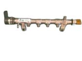 Einspritzleiste Autogasanlage