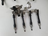 Fuel injection system set