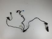 Front door wiring loom