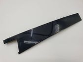 Rear door glass trim molding