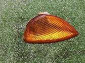 Front fender indicator light