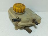 Coolant expansion tank/reservoir