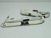 Roof airbag