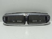 Front bumper upper radiator grill