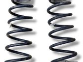 Front coil spring
