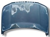 Engine bonnet/hood