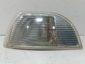 Front fender indicator light