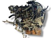 Variklis