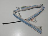Airbag de toit