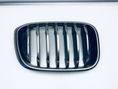 Front bumper upper radiator grill