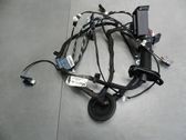 Rear door wiring loom