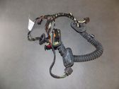 Rear door wiring loom
