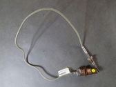 Exhaust gas temperature sensor