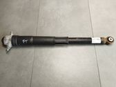 Rear shock absorber/damper