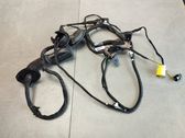 Front door wiring loom