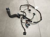 Front door wiring loom