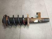 Front shock absorber with coil spring