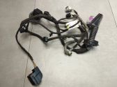 Rear door wiring loom