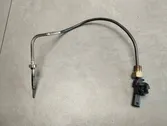 Exhaust gas temperature sensor