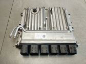 Engine control unit/module ECU