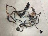 Rear door wiring loom