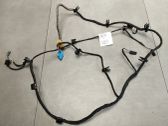 Rear door wiring loom