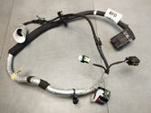 Other wiring loom