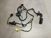 Front door wiring loom