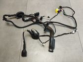 Front door wiring loom
