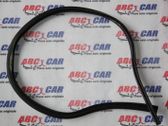 Door glass trim