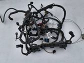 Other wiring loom